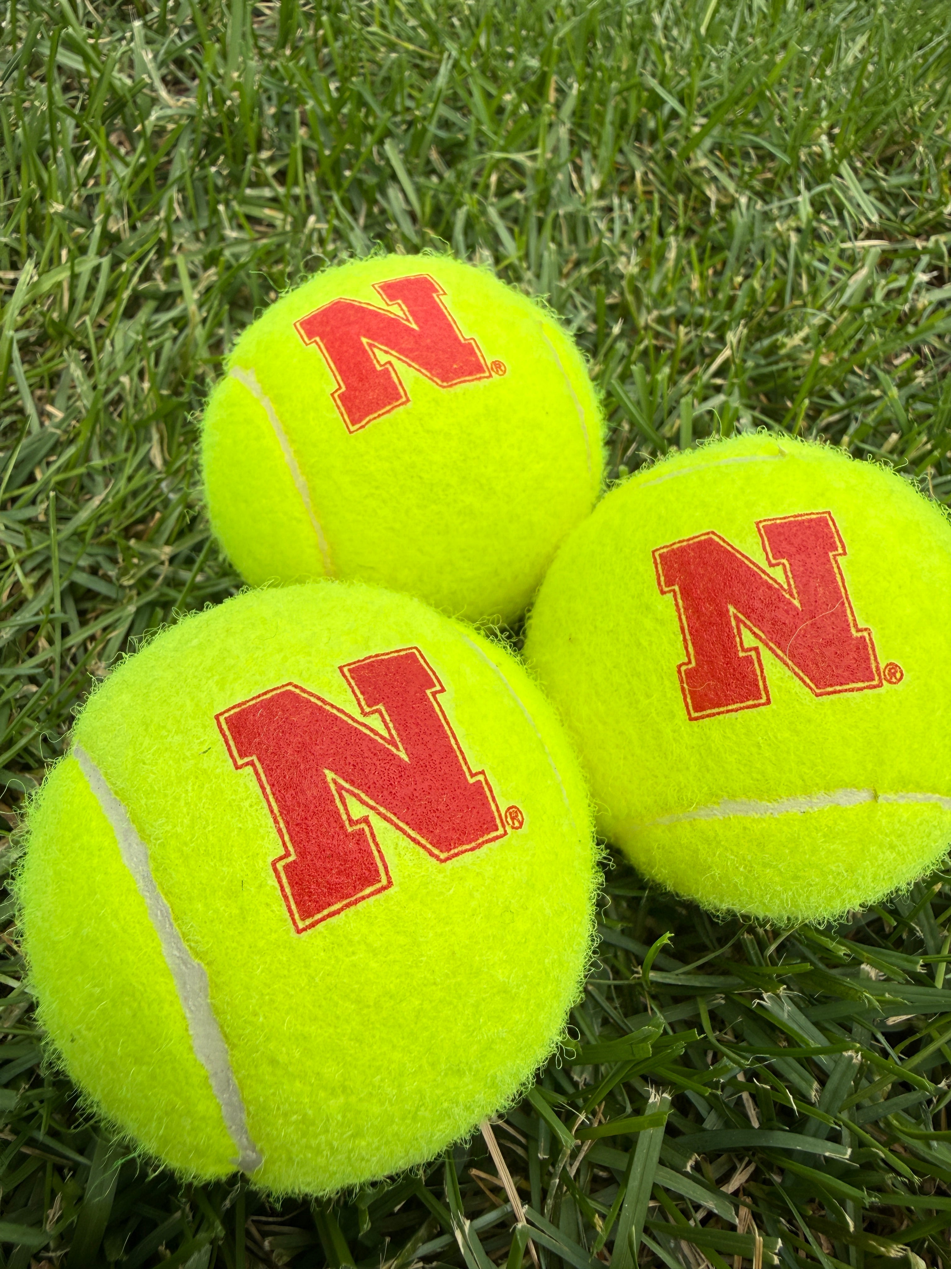 3-Pack Pet Tennis Balls - Nebraska Cornhuskers