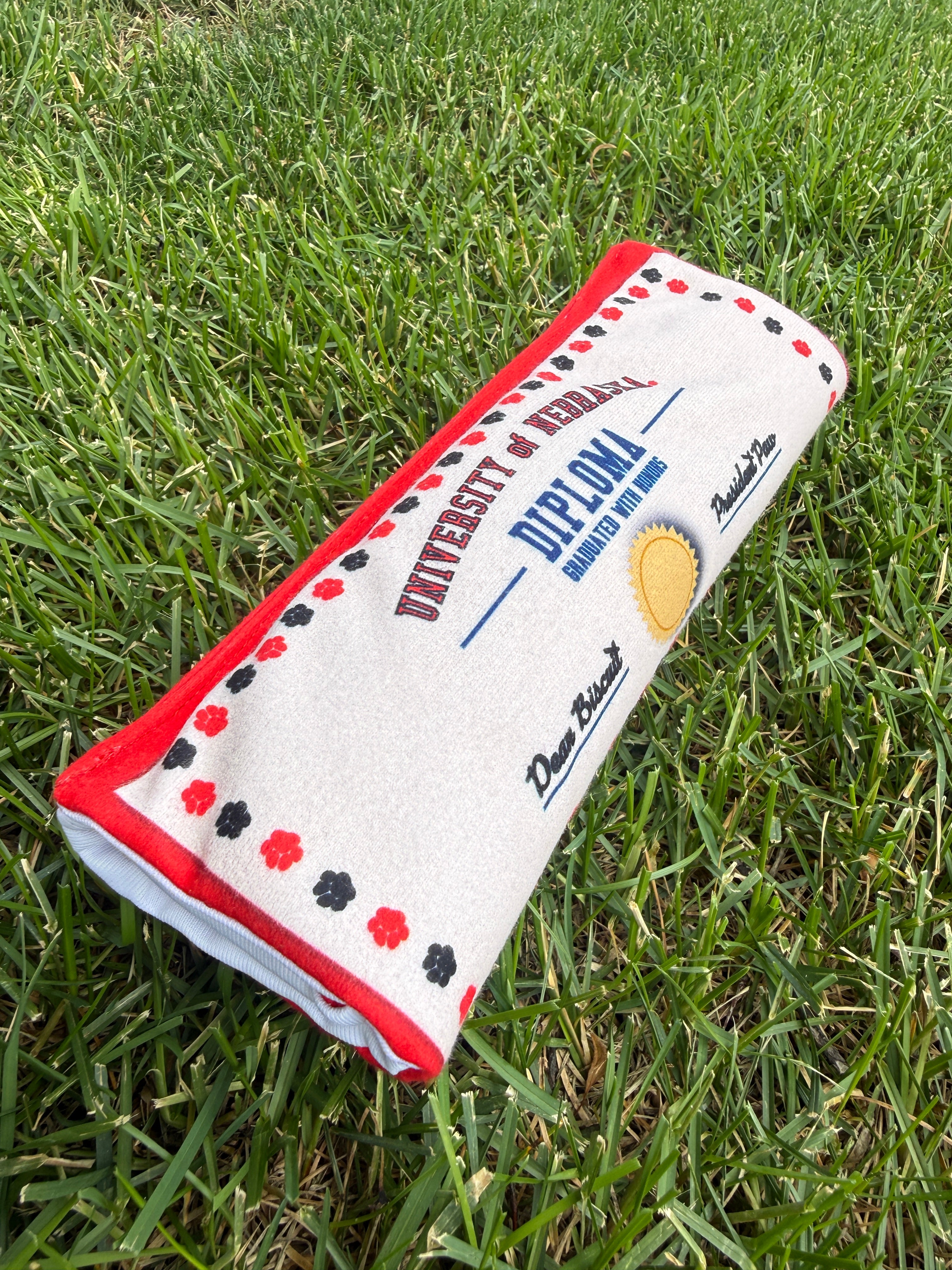 Diploma Dog Toy - Nebraska Cornhuskers