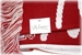 Adidas Fringed Edge Adidas Scarf - DU-74005