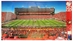 Memorial Stadium Fathead Full-Wall Decal - MD-52300