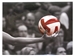 Husker Volleyball Hand Print 16 x 20" - PP-A8307