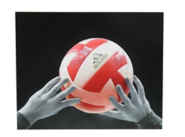 Husker Volleyball Setting Print Nebraska Cornhuskers, Nebraska  Prints & Posters, Huskers  Prints & Posters, Nebraska Volleyball, Huskers Volleyball, Nebraska Husker Volleyball Setting Print, Huskers Husker Volleyball Setting Print