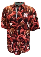 Nebraska Football Veracruz Button T. Bahama - Sunset Nebraska Cornhuskers, Nebraska  Mens Polos, Huskers  Mens Polos, Nebraska Polos, Huskers Polos, Nebraska Chili Pepper Nebraska Football Veracruz Cay First Down Blooms SS Button Up Tommy Bahama, Huskers Chili Pepper Nebraska Football Veracruz Cay First Down Blooms SS Button Up Tommy Bahama